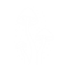5 5